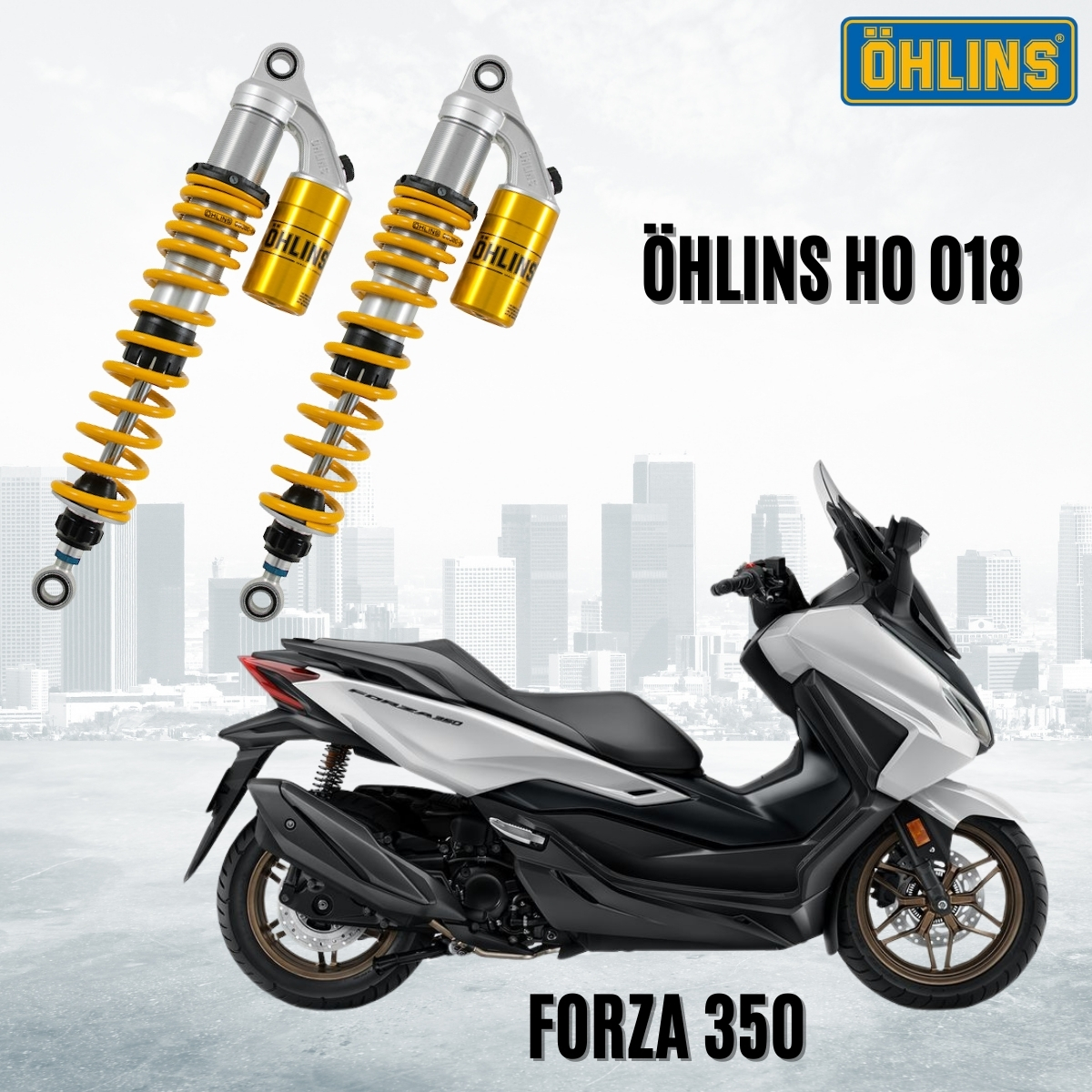 Honda 2.jpg (955 KB)